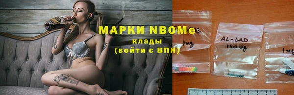 индика Киреевск