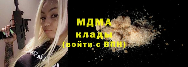 индика Киреевск