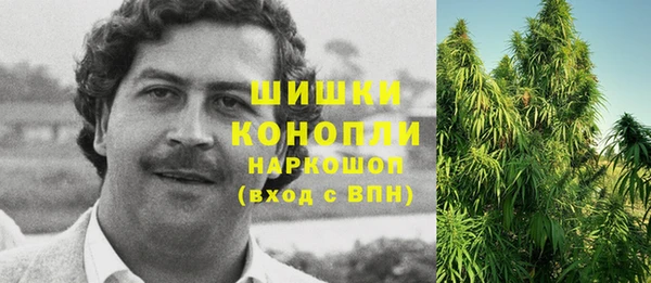индика Киреевск