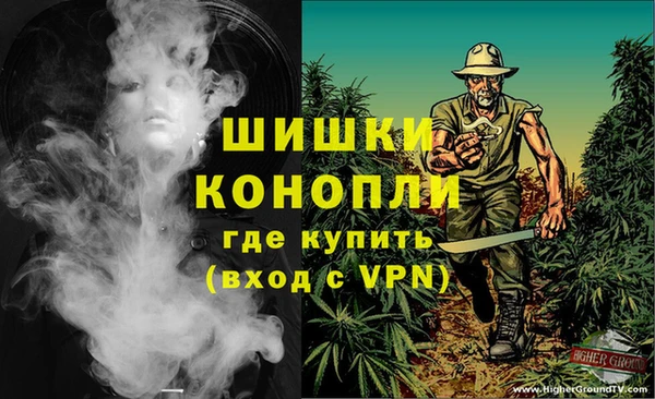 индика Киреевск