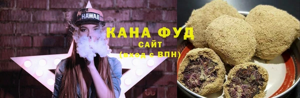 индика Киреевск