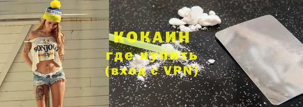 индика Киреевск