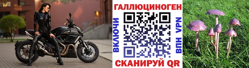 Псилоцибиновые грибы Magic Shrooms  наркошоп  Сухой Лог 